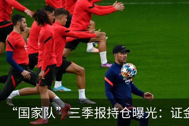 “国家队”三季报持仓曝光：证金重仓中国神华，社保基金增持中金岭南