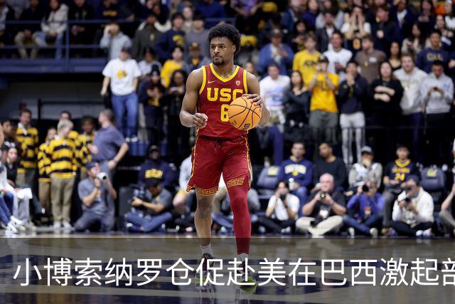 小博索纳罗仓促赴美在巴西激起部分民众愤慨